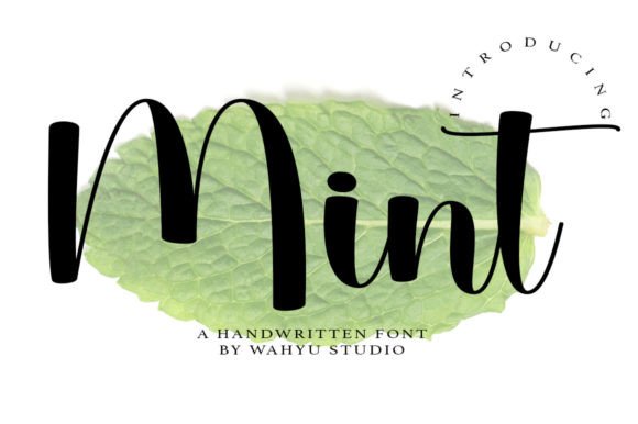 Mint: A Fresh Script Font for Playful Branding